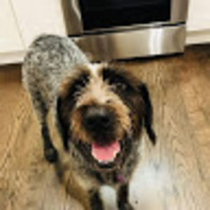 Meet your Posher, Cameron